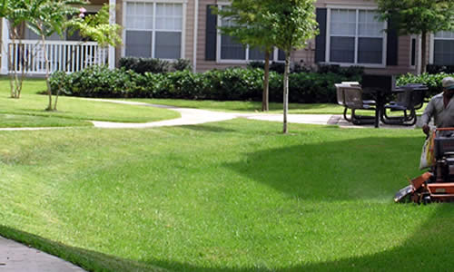 Providing Menomonee Falls with professional lawn care services near me