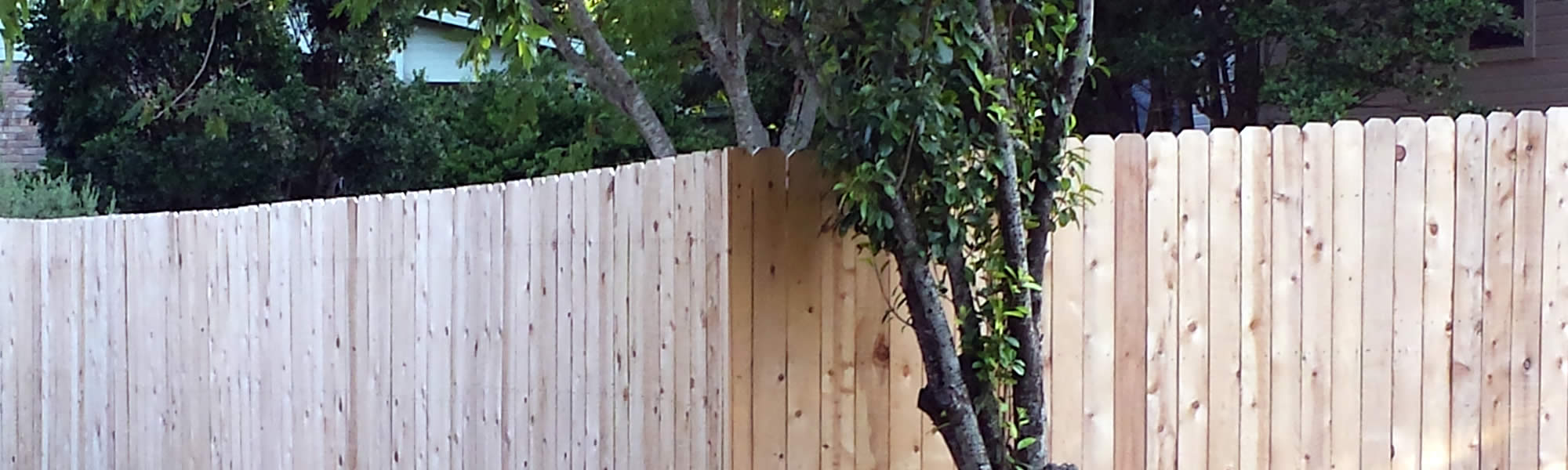 New Fence Installation